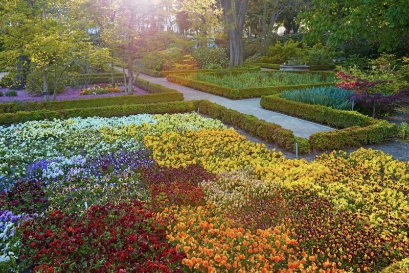 Jardín Botánico de Madrid Jardín Botánico de Madrid